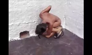 Шинэ хар мод сонирхо ...