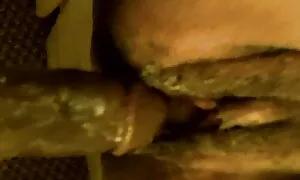 66 настай шилдэг хар ...