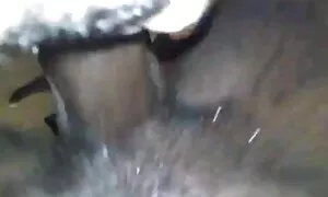 Ebony хатан зөндөө х ...