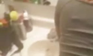 Энэтхэгийн Деси хара ...