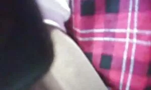 Олон нийтийн хар сек ...